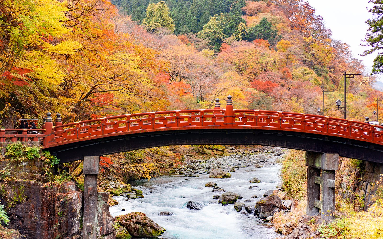 🏞️ 중선사호 전망대(주젠지코 텐보다이) 이미지 10